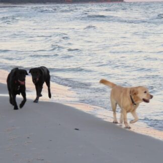 Workshop Am Sonntag in die Wasserwelt!
