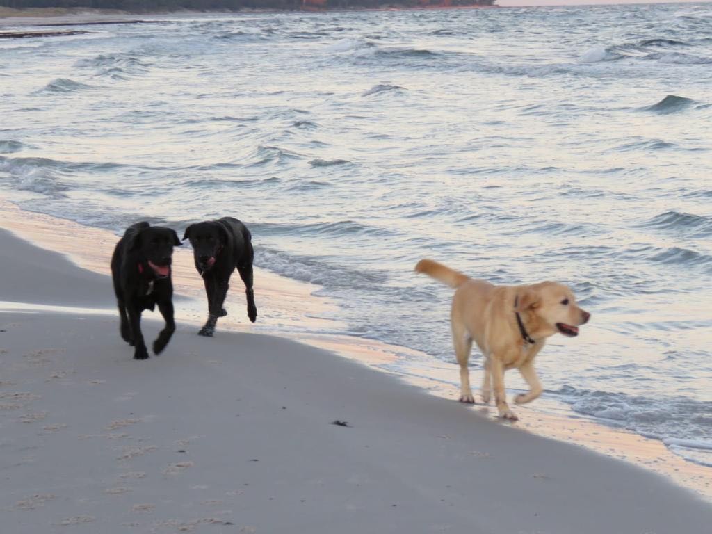 Workshop Am Sonntag in die Wasserwelt!